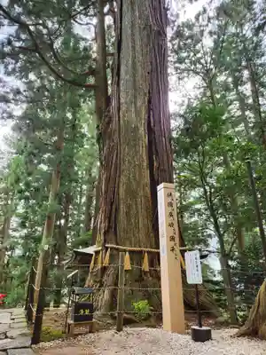 鷲子山上神社(栃木県)