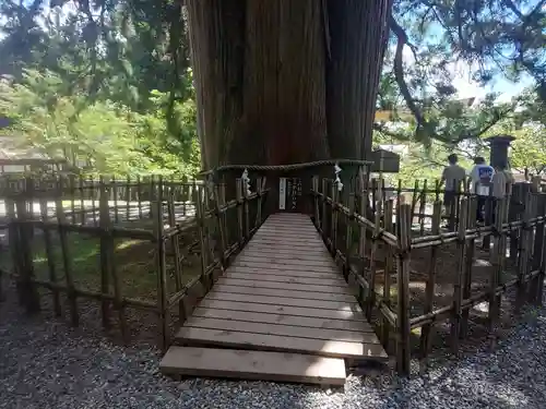 戸隠神社中社の自然
