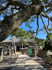 誕生寺(千葉県)