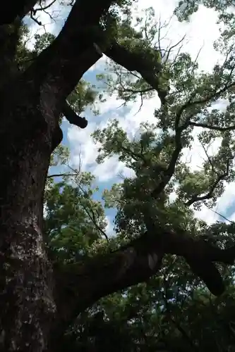 伊弉諾神宮の自然