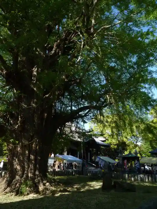 鑁阿寺のその他建物