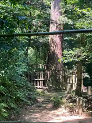八重垣神社(島根県)