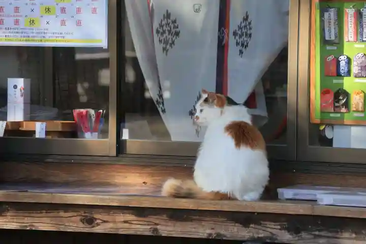 阿邪訶根神社の動物
