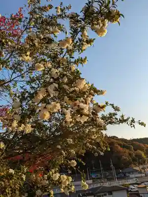 石内のお大師さん　金剛院(広島県)