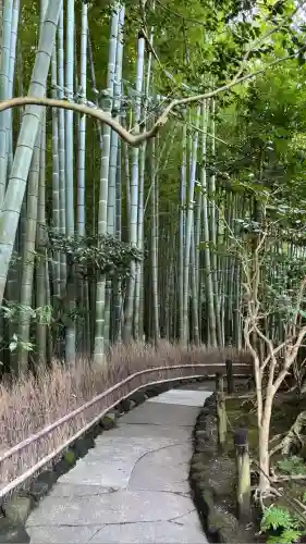 報国寺(神奈川県)