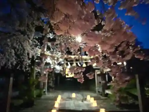 山家神社の自然