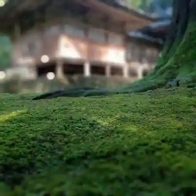 安波賀春日神社(福井県)
