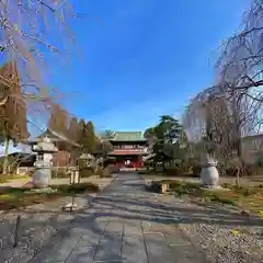 善導寺の建物その他