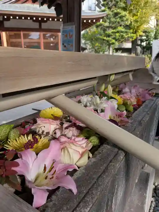 鳩森八幡神社(東京都)