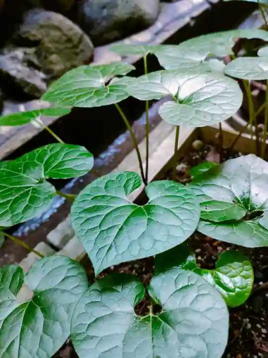伊賀東照宮(三重県)