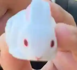 住吉大社(大阪府)