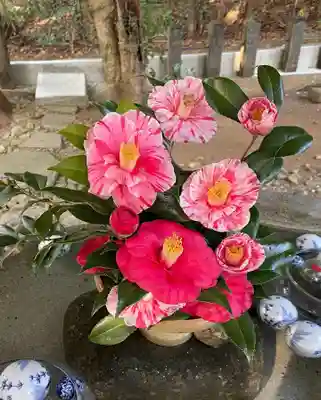 彦嶽宮(熊本県)