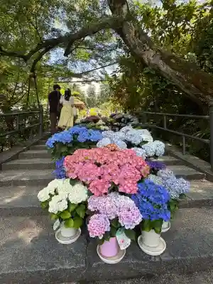 岡寺（龍蓋寺）(奈良県)