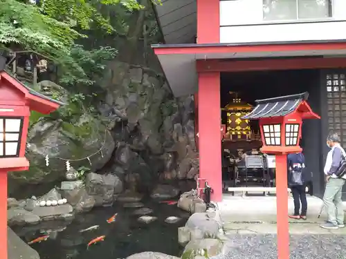 來宮神社(静岡県)