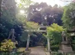 赤坂氷川神社の御朱印