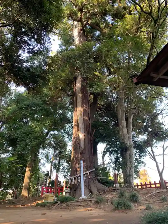 麻賀多神社奥宮(千葉県)