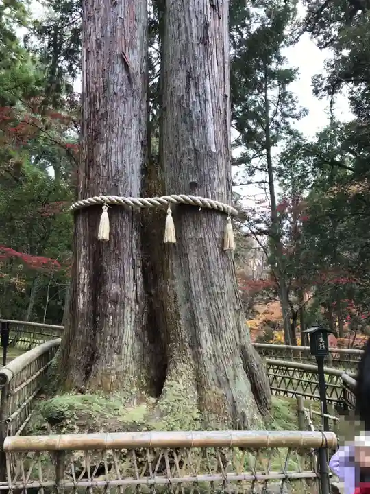 西明寺(滋賀県)