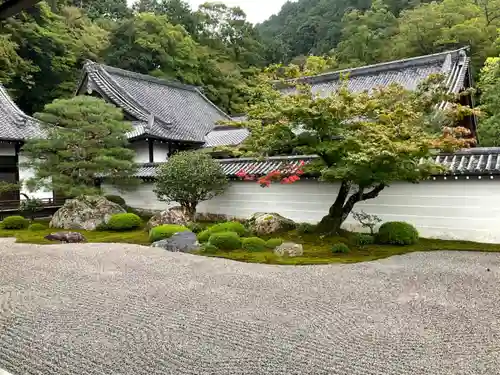 南禅寺の庭園