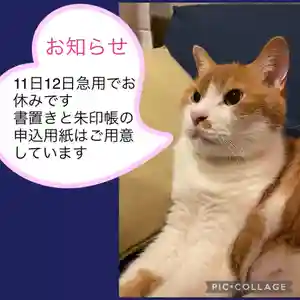 五十稲荷神社(栄寿稲荷神社)(東京都)(2023年07月11日(火) 11時21分59秒投稿)