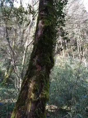 幣立神宮(熊本県)