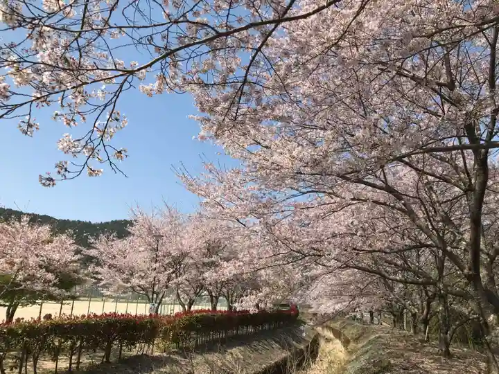 観音正寺の自然
