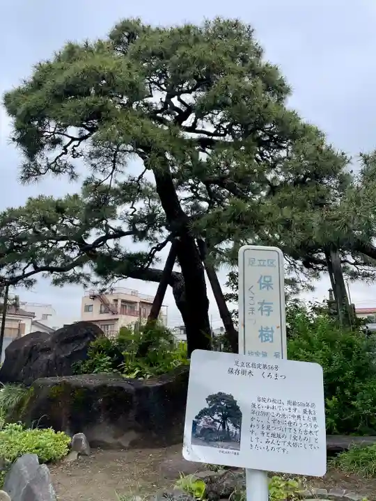 安養院(東京都)