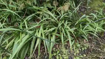木食寺安祥院(京都府)