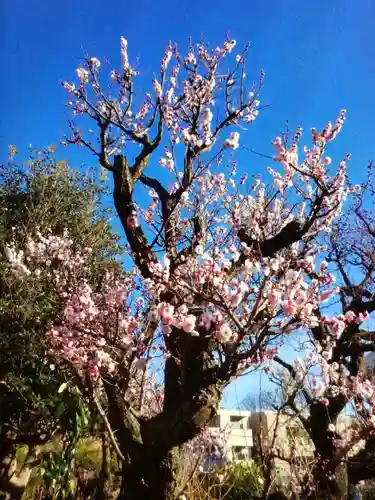 瑞円寺(東京都)