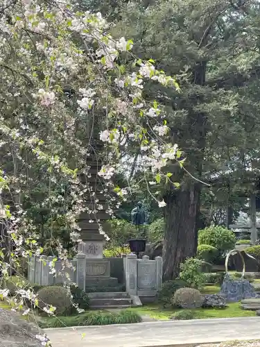 安養院(東京都)