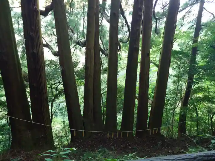 天岩戸神社(宮崎県)