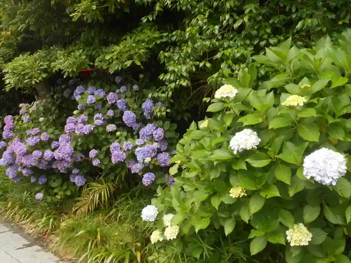 須磨稲荷大明神・和佐稲荷大明神の自然