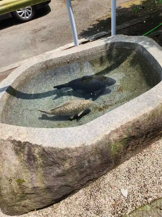 横手神明社(秋田県)