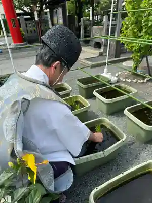 亀戸浅間神社(東京都)