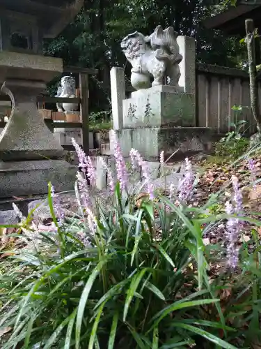 阿智神社の自然