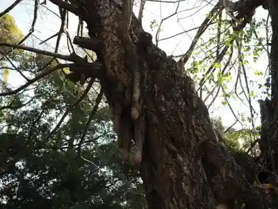 赤坂氷川神社(東京都)