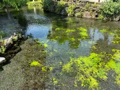 富士山本宮浅間大社(静岡県)
