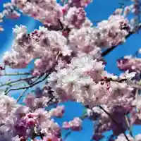 豊景神社(福島県)