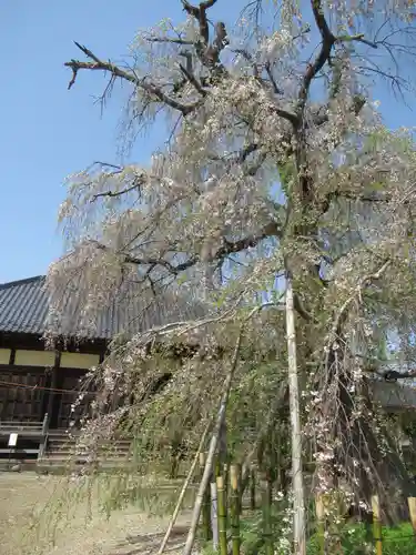 観音寺(茨城県)