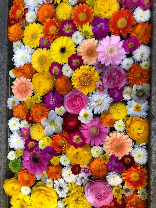 菅生神社の手水舎