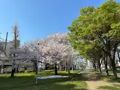 姫嶋神社(大阪府)