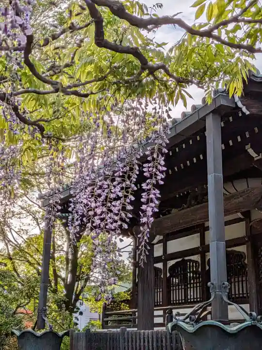 愛染院(東京都)