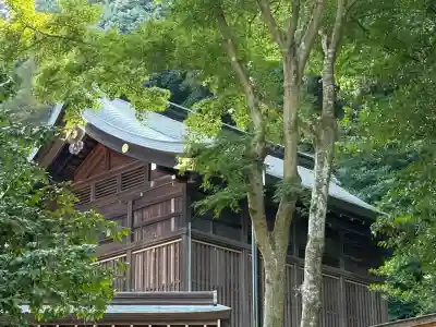 高麗神社(埼玉県)