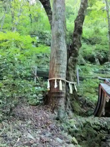 貴船神社の自然