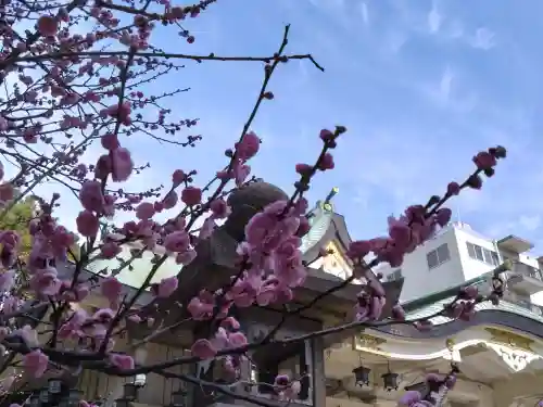 難波八阪神社の{uncategorized: "未分類", other: "その他", undefined: "問題あり", building: "その他建物", grave: "お墓", sacred_gate: "鳥居", guardian: "狛犬", statue: "像", buddha: "仏像", history: "歴史", nature: "自然", garden: "庭園", animal: "動物", pagoda: "塔", temizu: "手水舎", mountain_gate: "山門・神門", sanctuary: "本殿・本堂", subordinate: "末社・摂社", art: "芸術", scenery: "景色", jizo: "地蔵", ema: "絵馬", goshuin: "御朱印", omikuji: "おみくじ", items: "授与品その他", amulet: "お守り", goshuincho: "御朱印帳", eats: "食事", festival: "お祭り", votive_dance: "神楽", shichigosan: "七五三参", wedding: "結婚式", experience: "体験その他", initially: "初詣", around: "周辺", anti_infection: "感染症対策"}