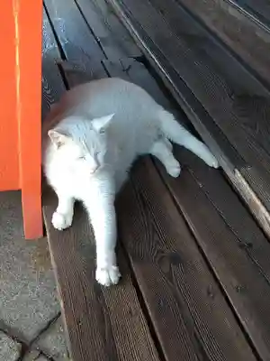 羽黒神社の動物