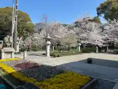 愛知縣護國神社(愛知県)