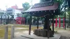 縣神社の手水