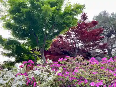 清水観音堂(東京都)