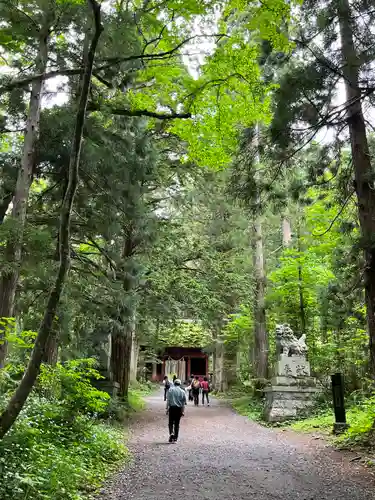戸隠神社奥社(長野県)