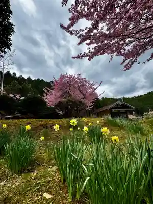 春日神社(京都府)
